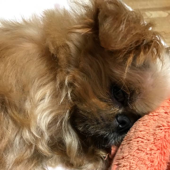 Bf423961 5651 4c0d adaa b29353b64bf2