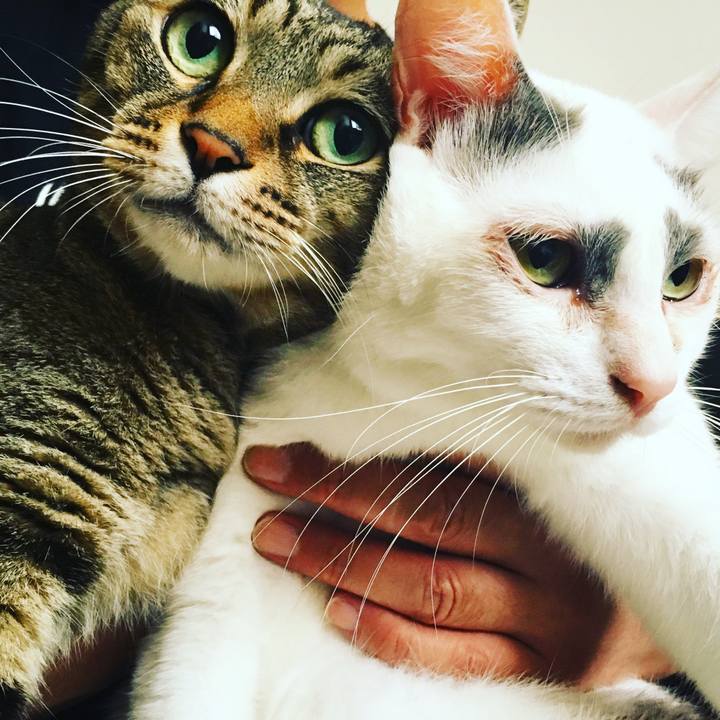 Bf423a7d 4caf 45e2 a2a4 9df49d2d1e27