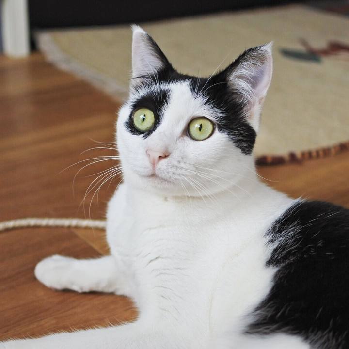 Bf423bee 6c47 47c5 bb00 8060b4a5f063