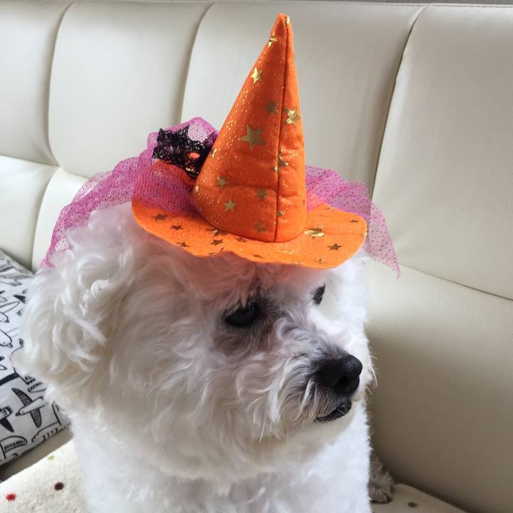 Bf42bc2f 9554 45b9 927d 18bfaf4fde33