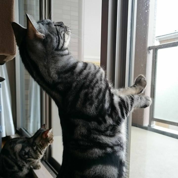 Bf4303ed 2ca1 46d4 b584 cd42d032ef3b