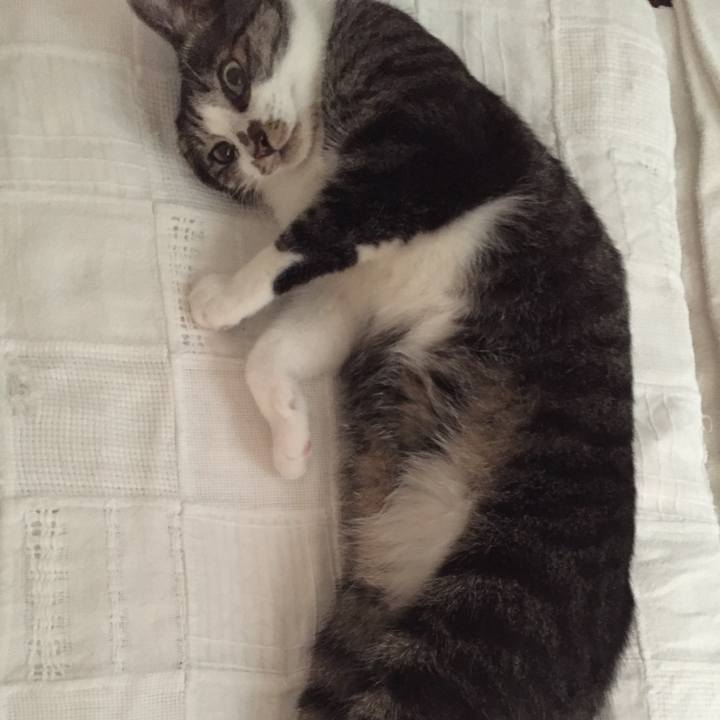 Bf439114 fff2 44a4 b0a6 93b7a1c4a48e