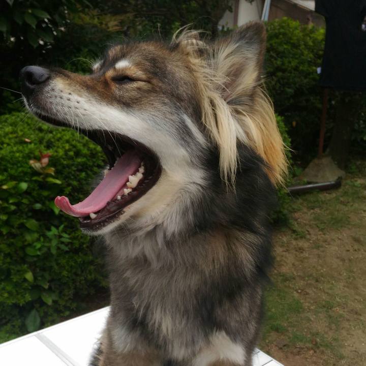 Bf44761c c975 413d a9fd 472ce1c34987