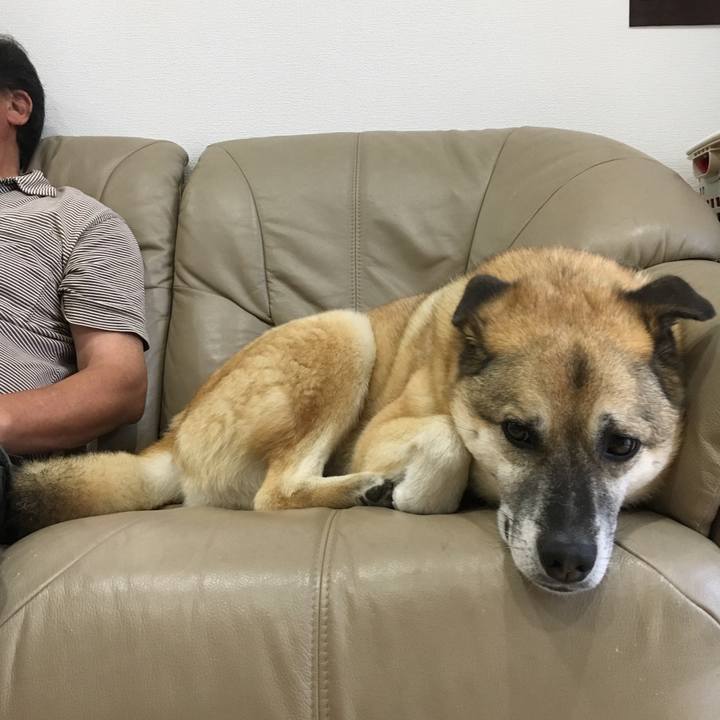 Bf4516d3 4f86 4a1c b892 70660d71ba2f