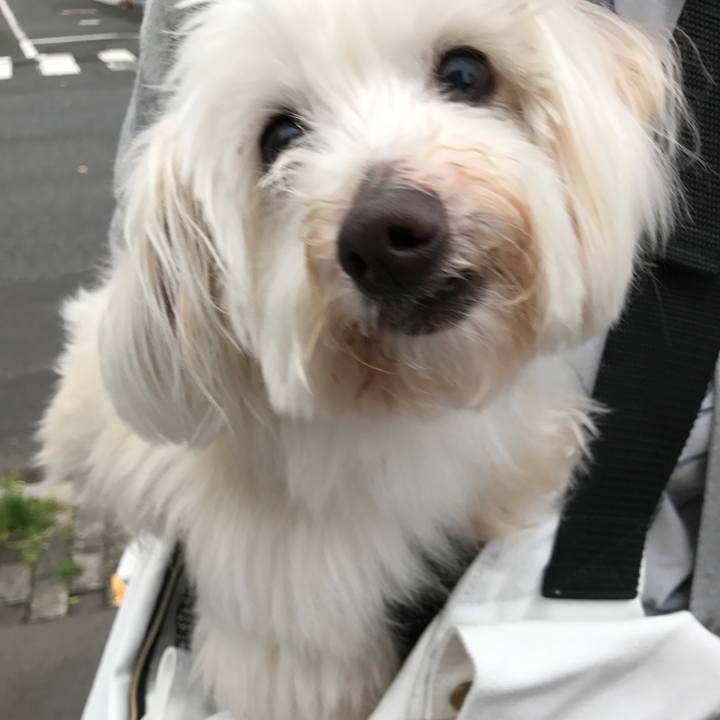 Bf454ddf 7d28 44be 9d57 cf1dda459e36