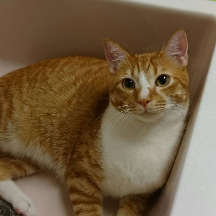 Bf455819 58c5 489f a68e feeb145f4065