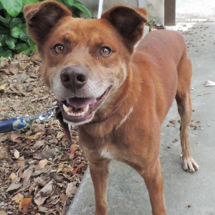 Bf45bf5c 1deb 46a6 ae09 10f41385735e