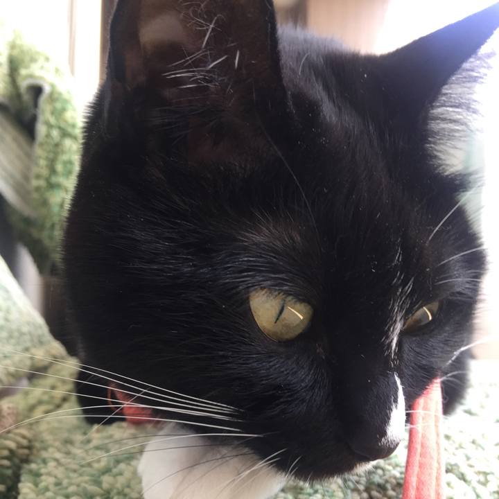 Bf46a7a4 bd1d 4ea6 a41f 2576316d8fd0