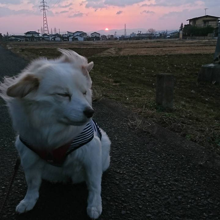 Bf470643 c4d1 4169 aaec 1f990d34711d