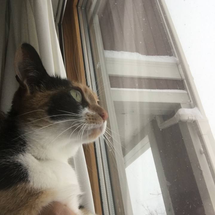 Bf47843d 31d8 4ea0 8aa2 9d89f8a9431e