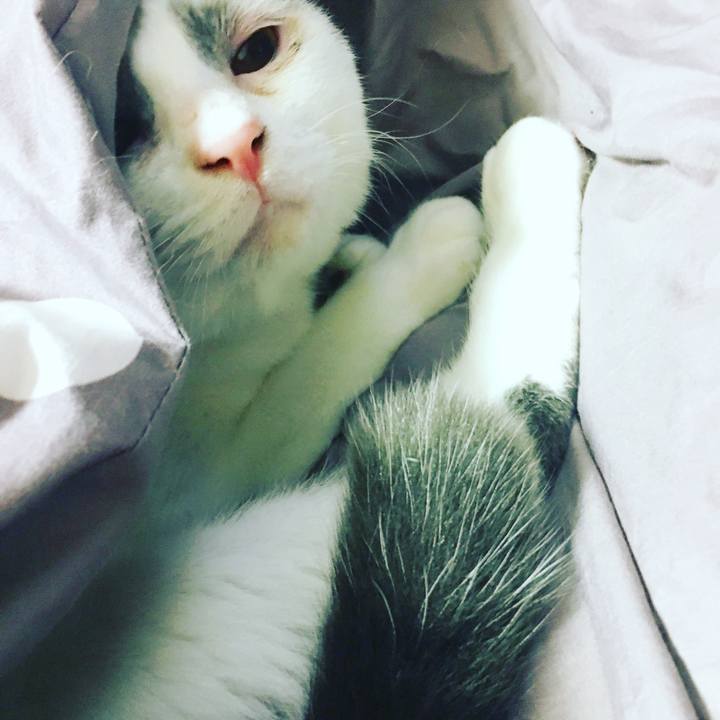 Bf48cc91 9fbc 45af a557 851cb47069d4