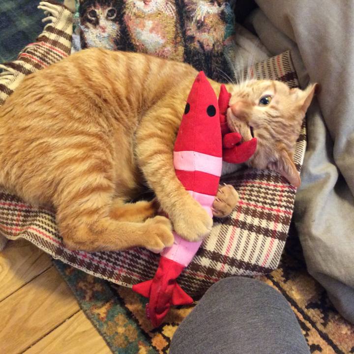 Bf48ffaa 7985 4db7 9b91 ded26c13b702