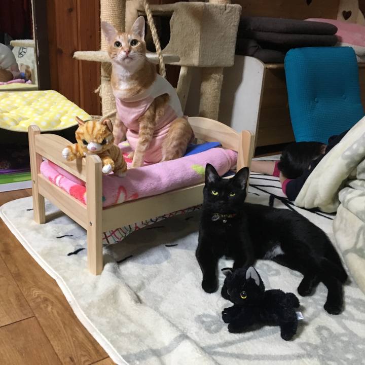 Bf49181b 6a28 41f9 8b23 aa166032cf0e