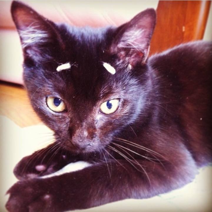 Bf493917 0d3f 40d4 8d1c 41b4879c24ce