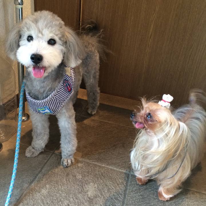 Bf495d95 a115 43a3 b166 30b9f21b1f51