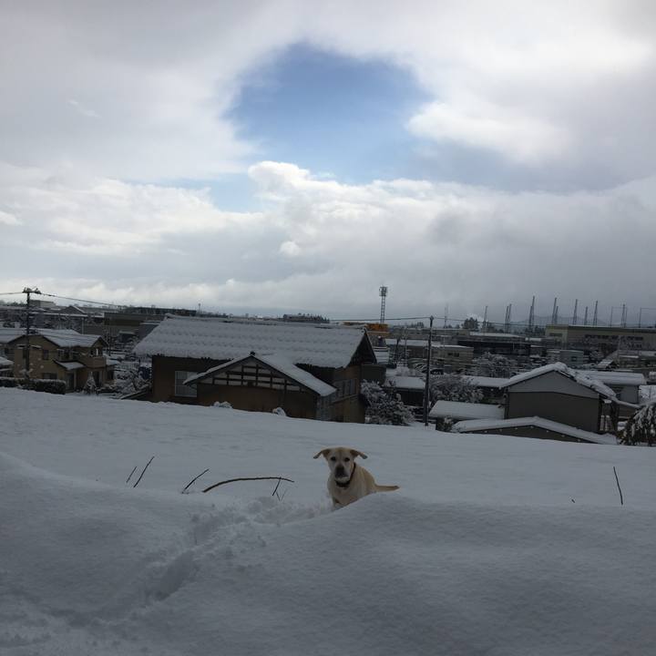 Bf497629 de0a 4a40 9d23 ce8ac144ee34