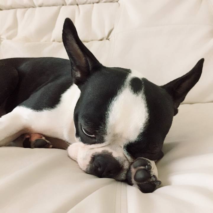 Bf49ae07 67b9 46c1 9097 4f647982ce93