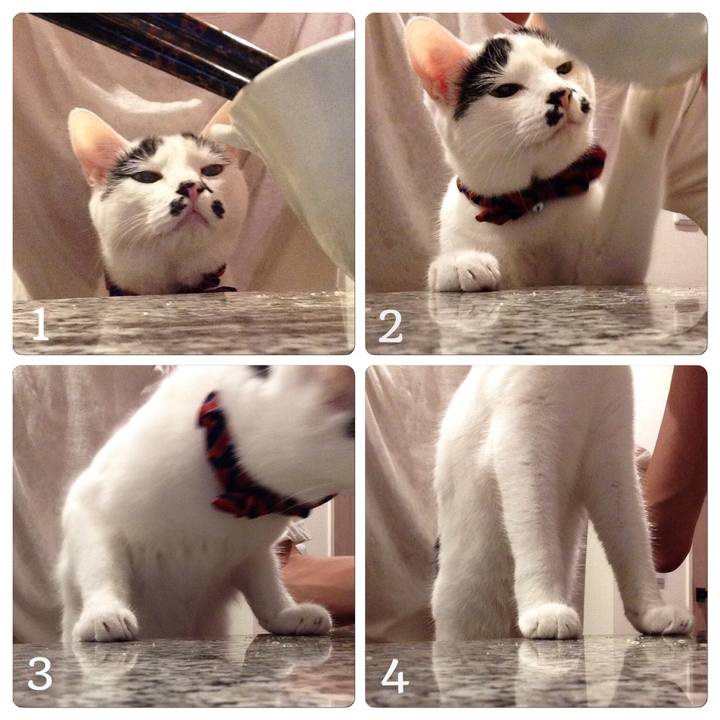 Bf4aaba3 1cb6 4848 8ef7 a92ecc34eb16