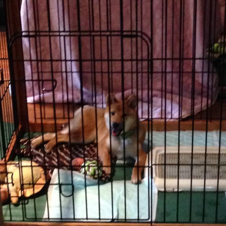 Bf4ae003 cc0d 47c9 9e92 f4415b19073f