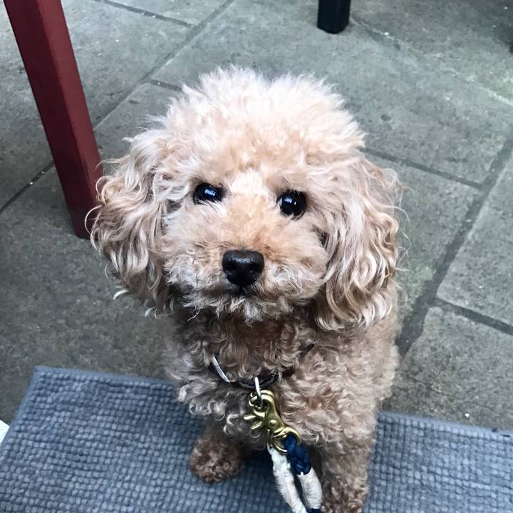 Bf4ae7db 8cbc 4ed9 8e42 49af04990a58