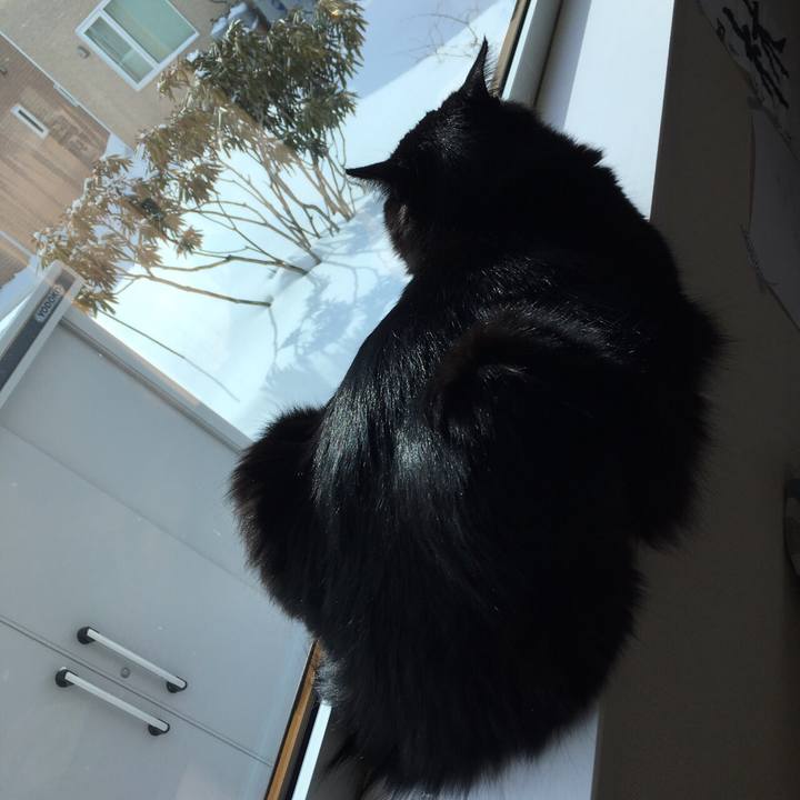 Bf4b3898 6b18 4146 9658 cf77422920fd