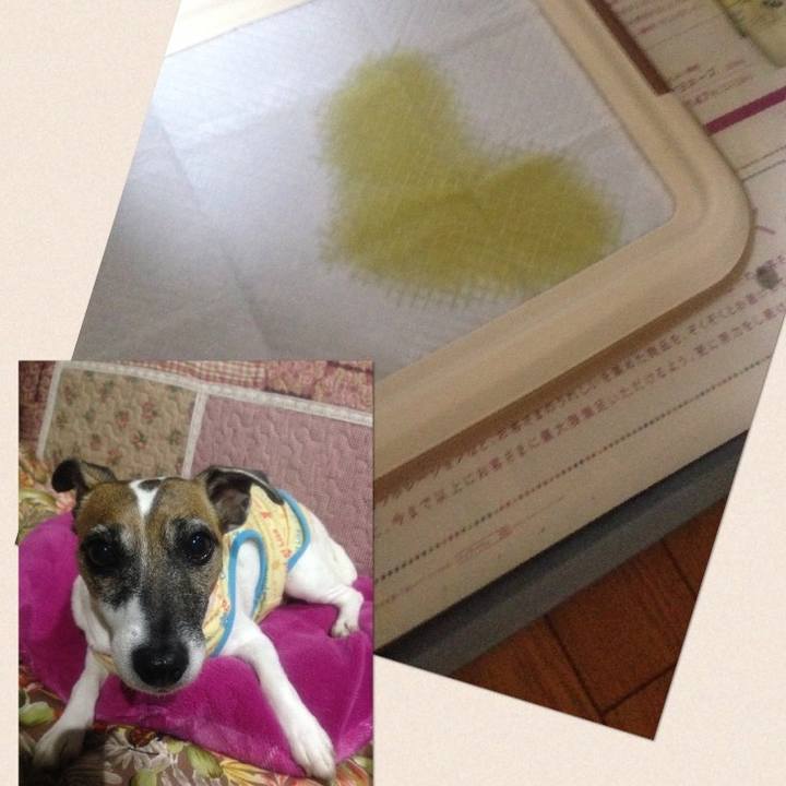 Bf4b910a ceac 4007 9cb0 d93c3fc4b9ed