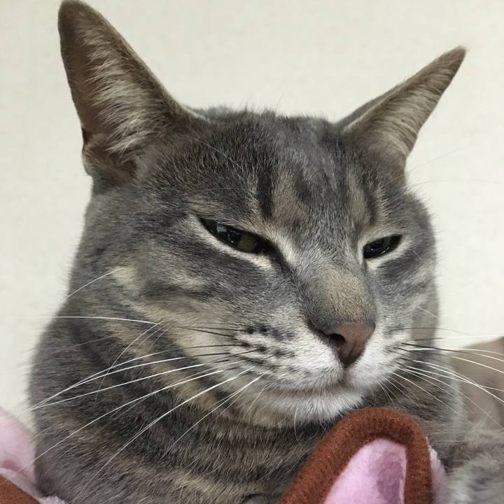 Bf4ba9b4 ff70 4348 adde 77530a8101b6