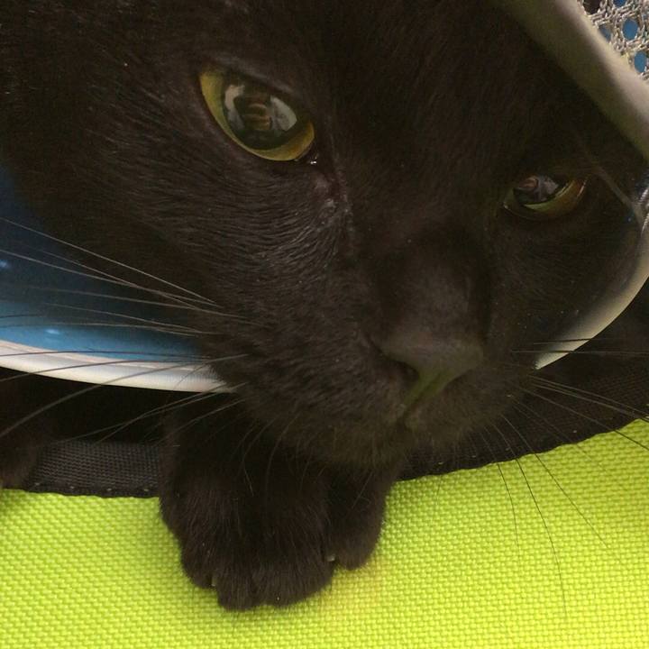 Bf4bdbc2 8c17 4d23 866d b67b1b22f3ef