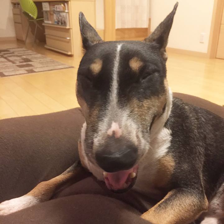 Bf4bec96 fb03 4ba6 97c4 9d059b2fcb10