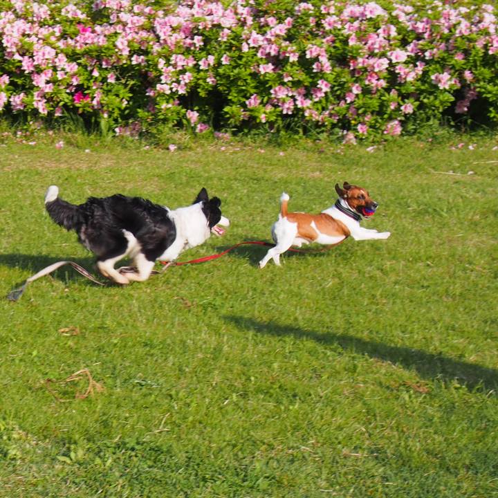 Bf4c2b19 c3cb 4198 8504 1897c7ab1e6c