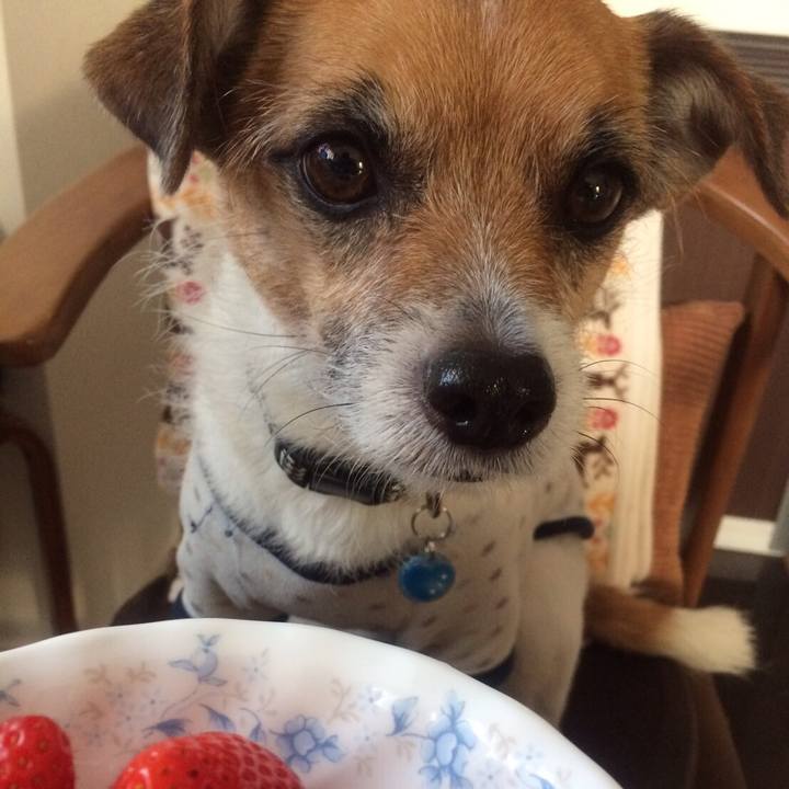 Bf4c99bf ed70 4a91 be55 de22dd392a7b