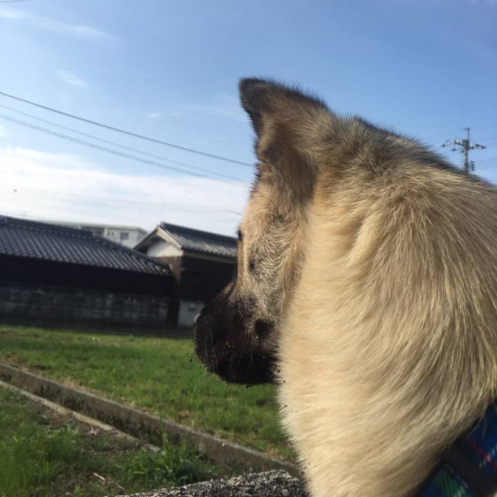 Bf4d0feb 1df1 4652 818b 63d6c253b8bd