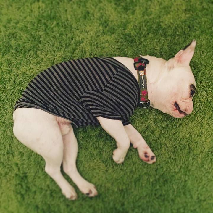 Bf4d9d08 8d62 40b5 8029 78a104838c9b