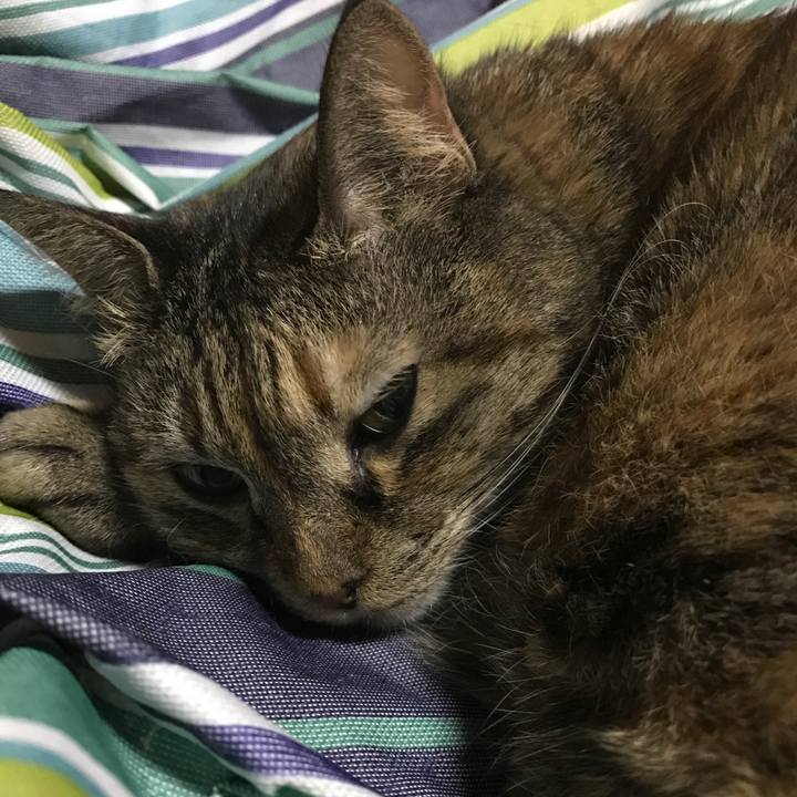 Bf4ddf5d 500b 45d5 ac4c 2a5bffcf81b3