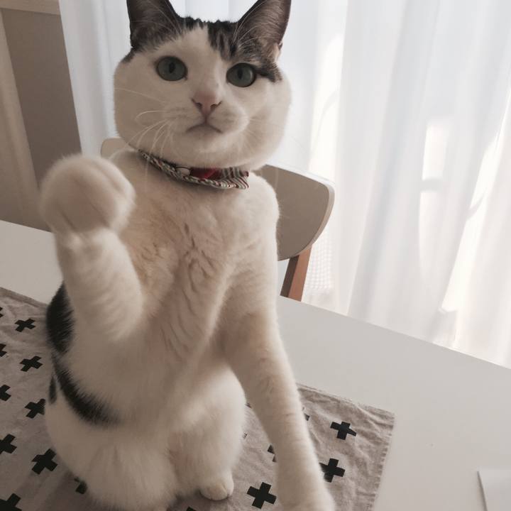 Bf4dff49 973e 4408 be5e f0b992cc9b26