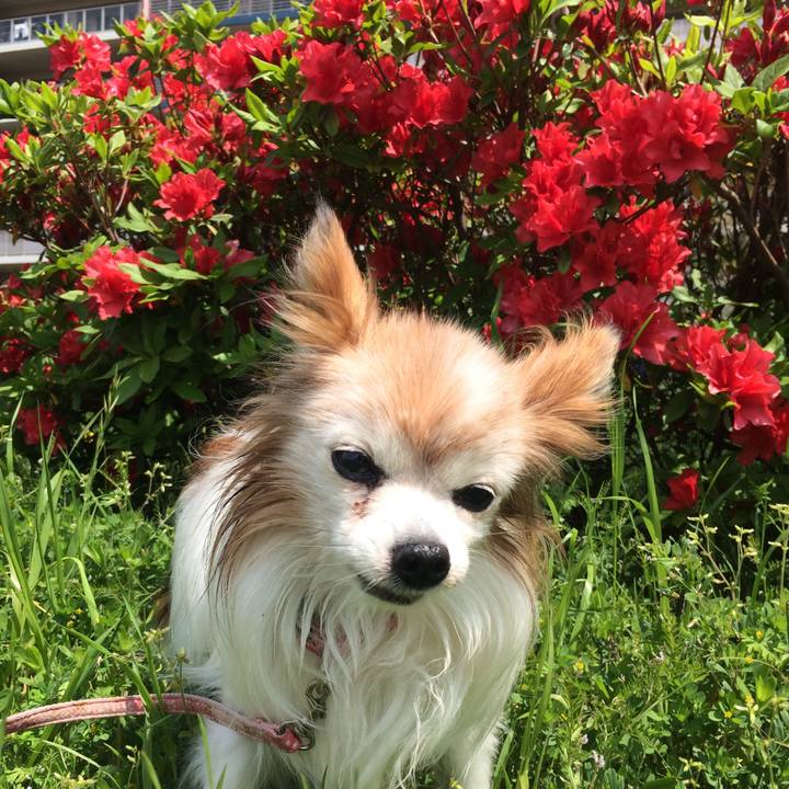 Bf4e559b 6c71 485e b38c 97bee2ddc8b2