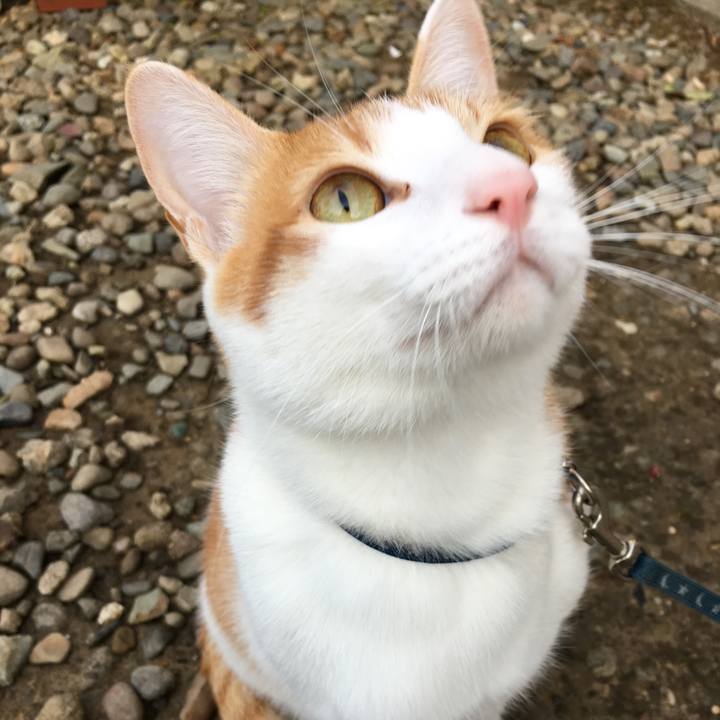 Bf4e8b45 df32 4548 bb10 9c829572e347