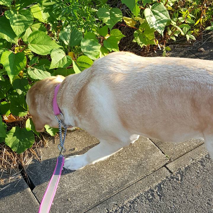 Bf4eaa69 983f 4d1e 9ffa 9df8736b261e