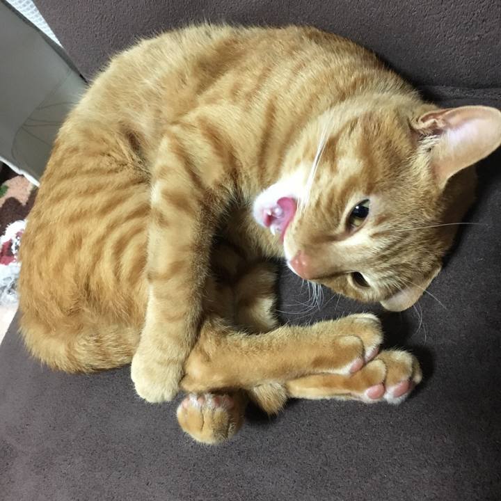 Bf4f58df 69f0 4299 84ff 263c1e07af78