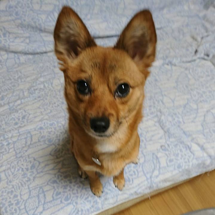 Bf4f745c 2884 4bc9 8034 ad82b79d43b6