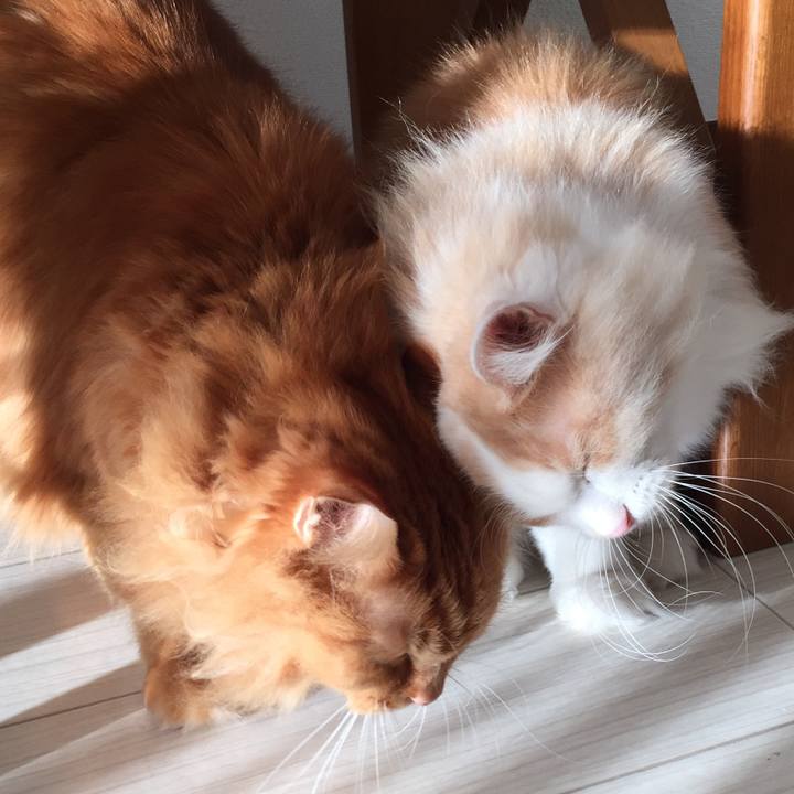 Bf4ffb85 4749 4811 b5cf 0c198bb2bac7