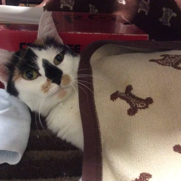 Bf50c105 463e 43e5 952c c83000d624bd