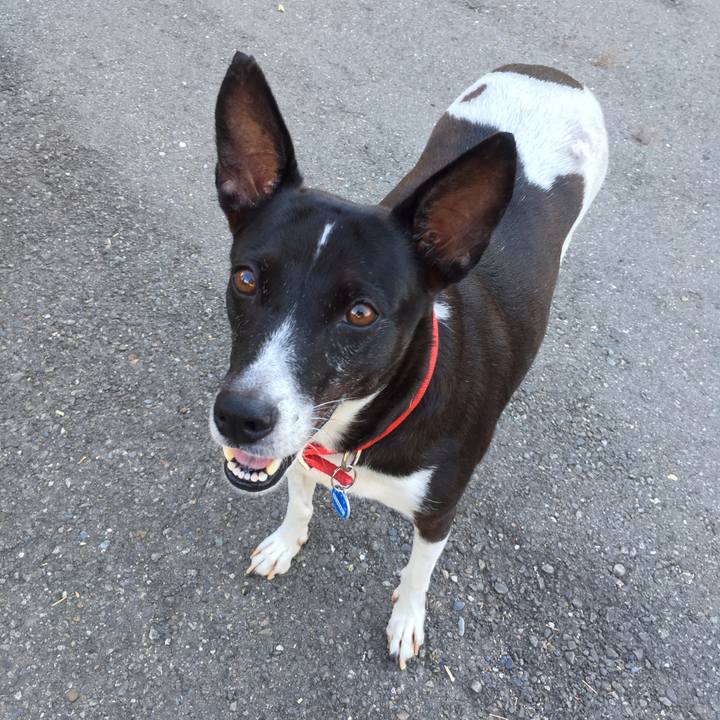 Bf50c70f 5908 41bb 8f6a 11d4af21ab8c