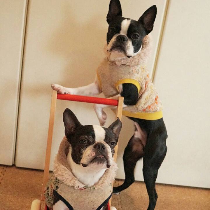 Bf52c5e9 89cc 4115 9c73 134f327b9aa4