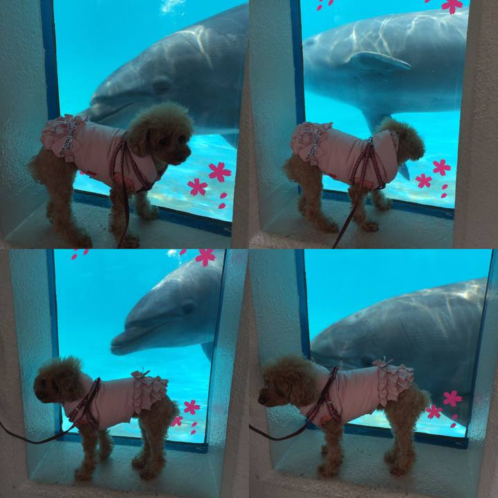 Bf52deb7 f98e 46ad bb60 26b90f9459de