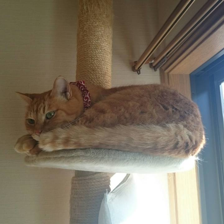 Bf52f26b 9bb6 46a0 bf37 ec383bb5ac3e