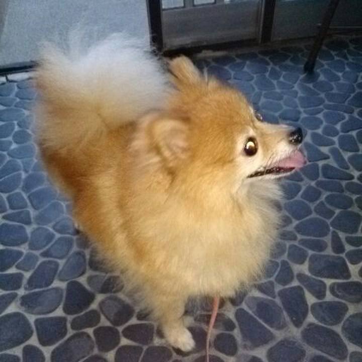 Bf53586d 638d 4062 bb56 7556542e1d02