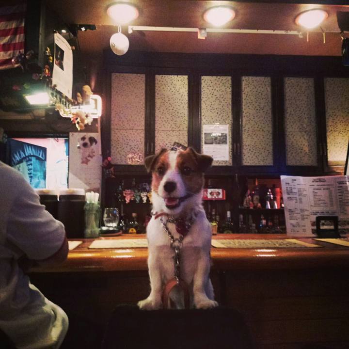 Bf53fa03 a10d 4cce a268 6e3c1cbe9122