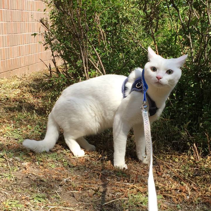 Bf54a57c dd42 4bef 9527 887f1ea94c86