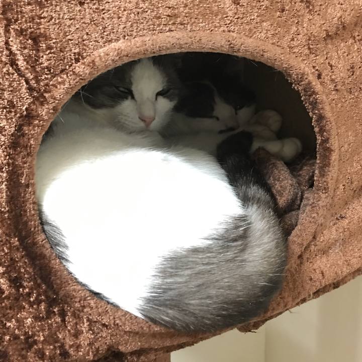 Bf54da50 a749 4d59 b7aa 45b5057c0c5a